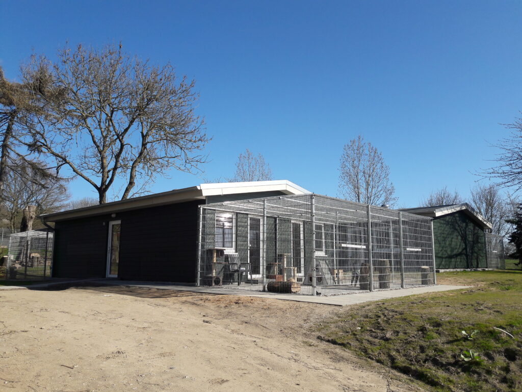 Das fertige Katzenhaus mit Freigehegen, 2019