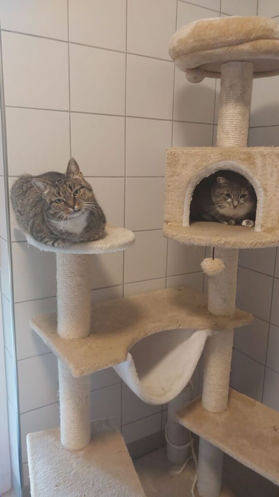 Tauros & Lonnie – Tier aus dem Tierheim Lübeck
